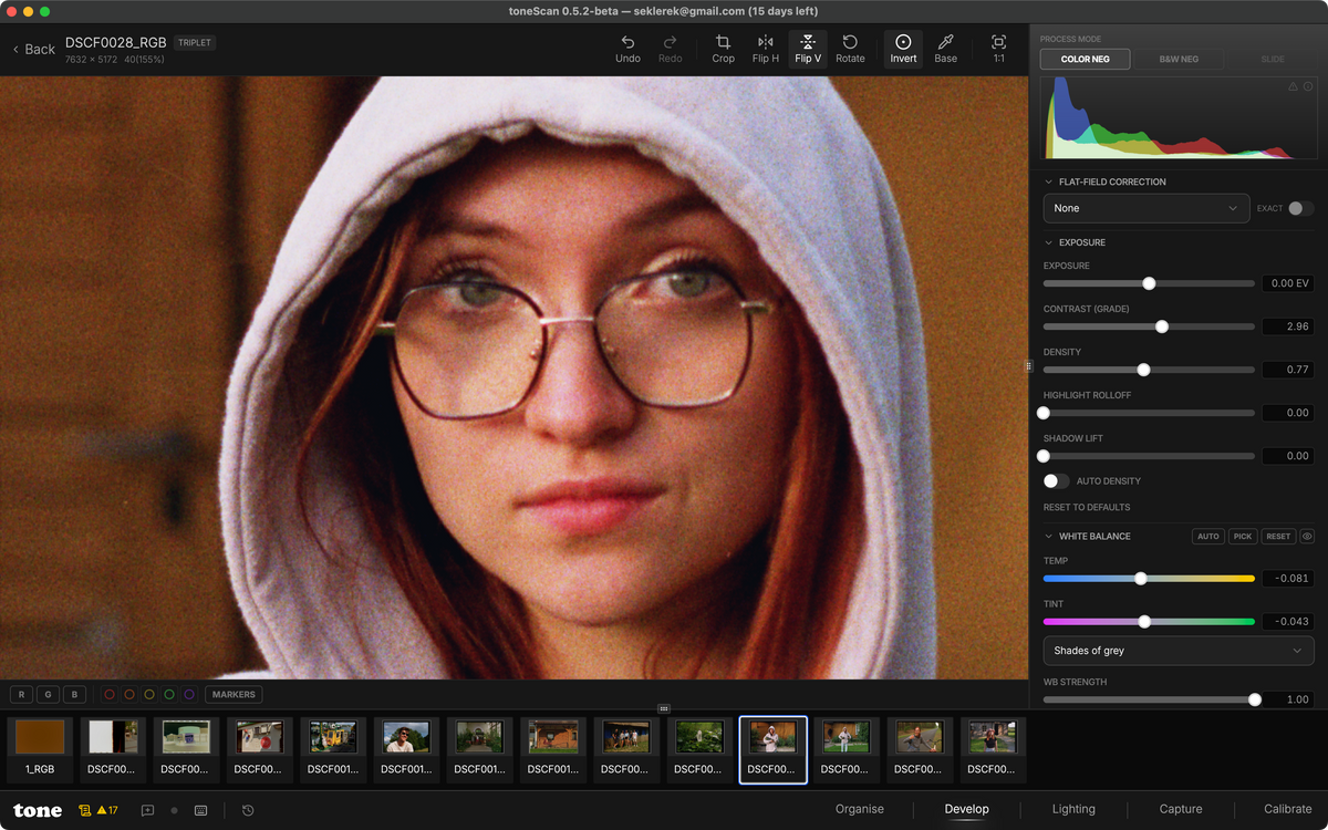 Pixel preview — inspect grain at 100% before export
